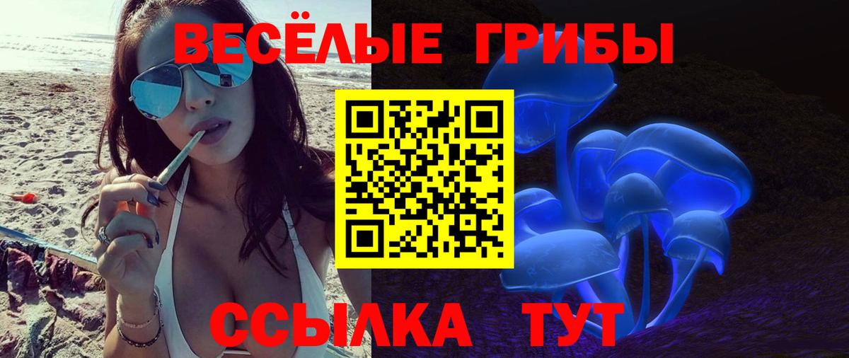 Псилоцибиновые грибы MAGIC MUSHROOMS  Галлюциногенные грибы Psilocybine cubensis  как найти закладки  Вход с VPN  Ноябрьск 